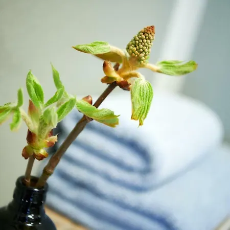 Sommerhaus 1 #121793 Тиссов